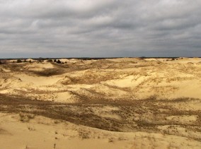 Олешківські піски